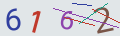 verifycode